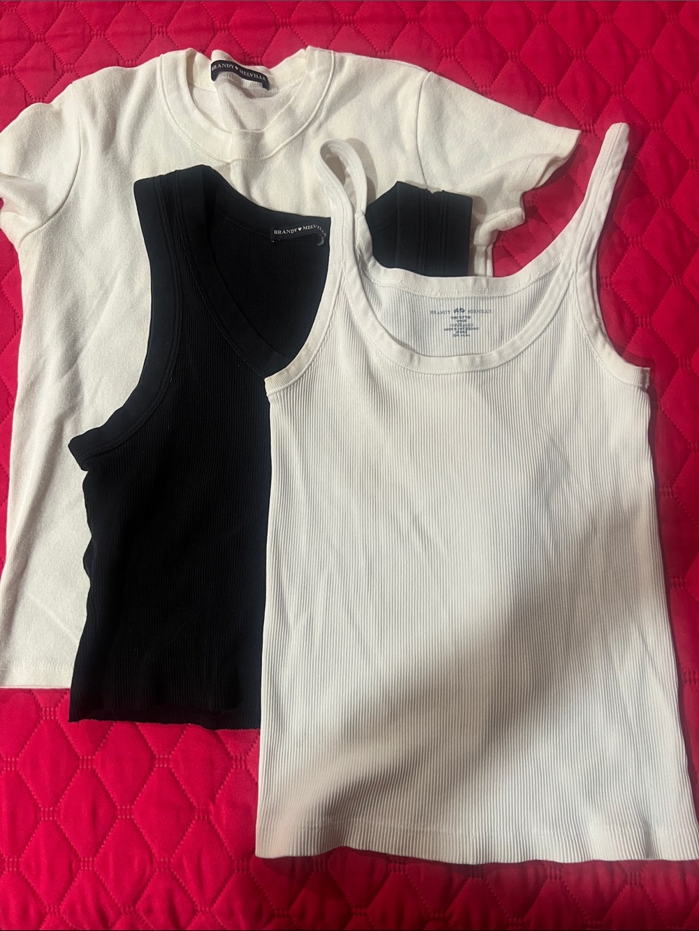 Brandy Melville Black & White Ribbed Tank and Tee Set